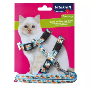 Kit Harnais Pour Chatons