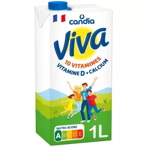Brique de lait UHT vitaminé calcium et vitamine D 6x1L - CANDIA