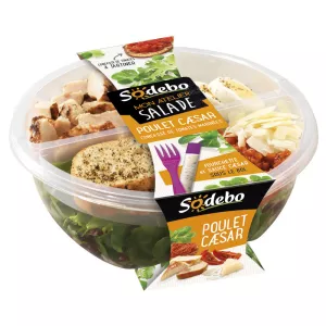 ورشة السلطة الخاصة بي PLT Cesar24