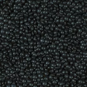 Lenticchie Nere Beluga Canada 25kg - Legumor