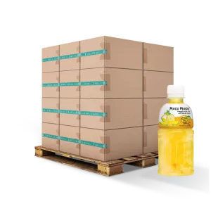 Ananas- und Nata-De-Coco-Getränk 32 cl Fr. X24 - MOGU MOGU