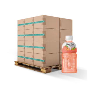 Pfirsich-Kokos-Cremegetränk 32 cl Fr. X24 - MOGU MOGU