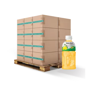 Mango- und Nata-De-Coco-Getränk 32 cl Fr. X24 - MOGU MOGU