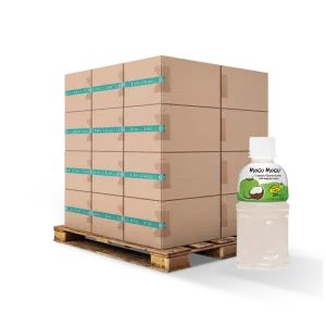 Kokosnuss- und Nata-de-Coco-Getränk 32 cl Fr. x24 - MOGU MOGU