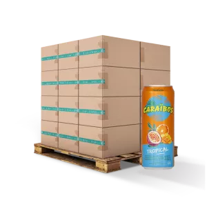 Nước Uống Nhiệt Đới 33cl Fr X24 Slim - CARAIBOS