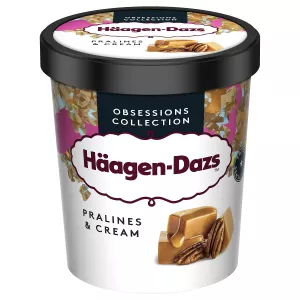 Haagen Dazs Praline Cream400g