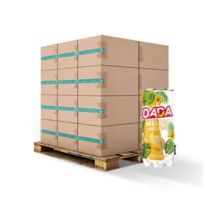 Eau Gazeuse Melon 33cl Fr X24 Slim - Dada