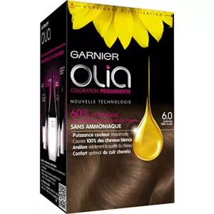 パーマネントカラーリング 6.0 ベリーライトブラウン GARNIER OLIA