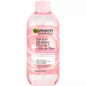 Garnier Micellar 400ml All