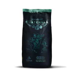 焙煎コーヒー豆 セレクショングルメ グアテマラ 1kg - BURDET