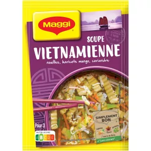 Soupe Déshydratée Nouilles Soja Coriandre 40g - Maggi