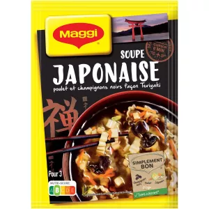 Soupe déshydratée Japonaise 50g - MAGGI