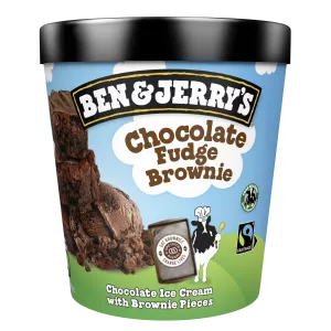 Chocolate Fudge Brownie - BEN & JERRY'S
