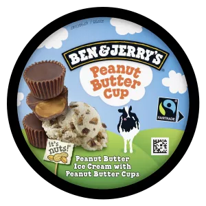 Glaces peanut butter 425g - BEN & JERRY'S