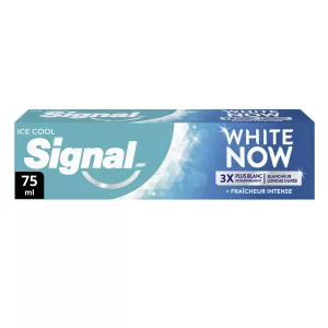 Зубная паста White Now Ice Cool 75мл - Signal