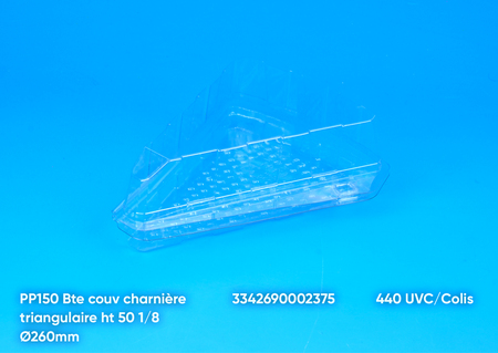 Pp150 440 Triangl Flan 1 Part