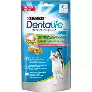 成猫用おやつ チキン入り 40g - PURINA DENTALIFE