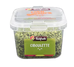 Ciboulette tubulaire 15g - FESTIFRUITS